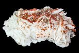 Ruby Red Vanadinite Crystals on Barite - Morocco #100695-1